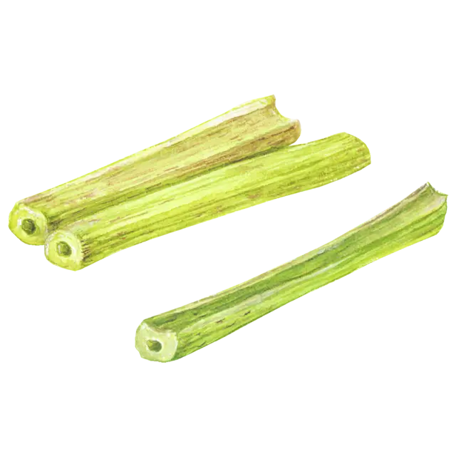 ふきのイラスト