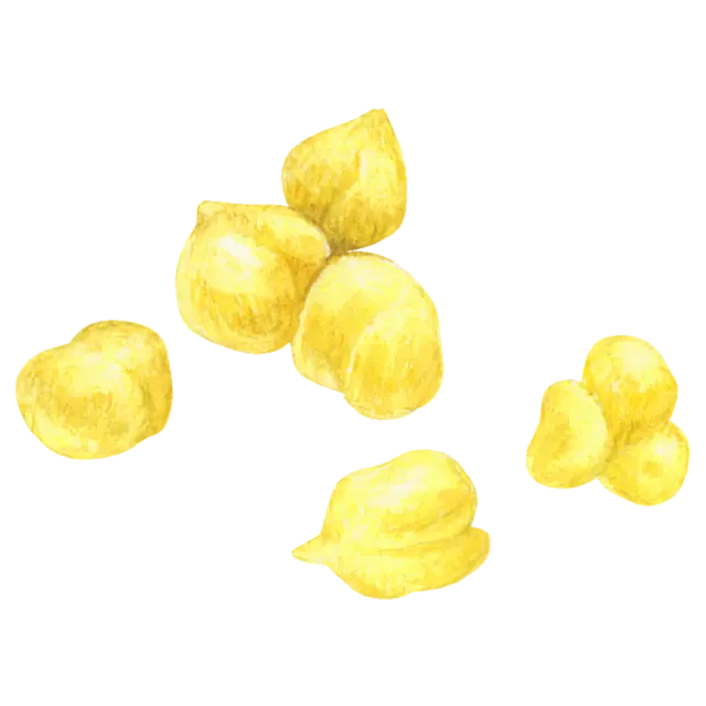 ひよこ豆のイラスト