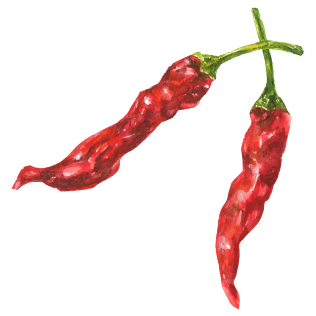 とうがらしのイラスト