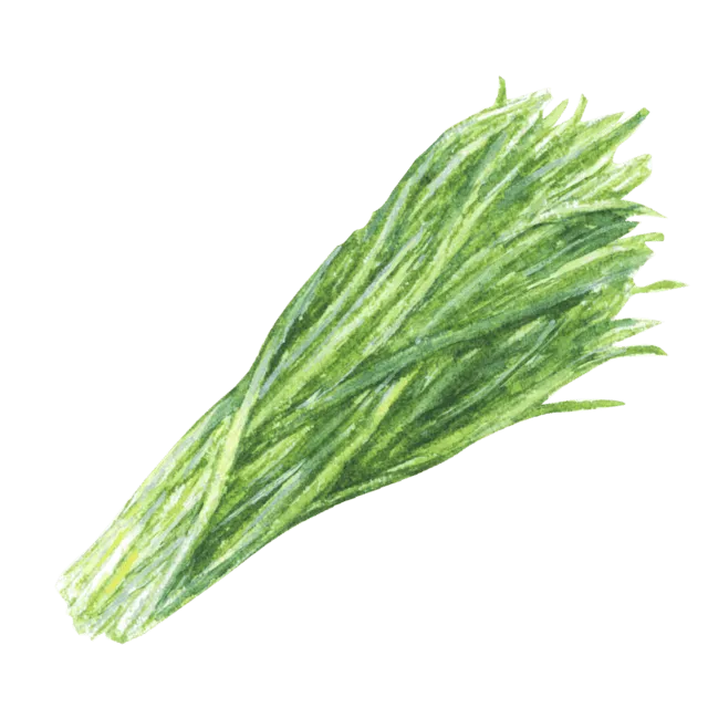 にらのイラスト