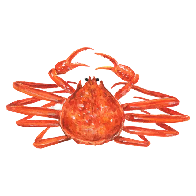 カニのイラスト