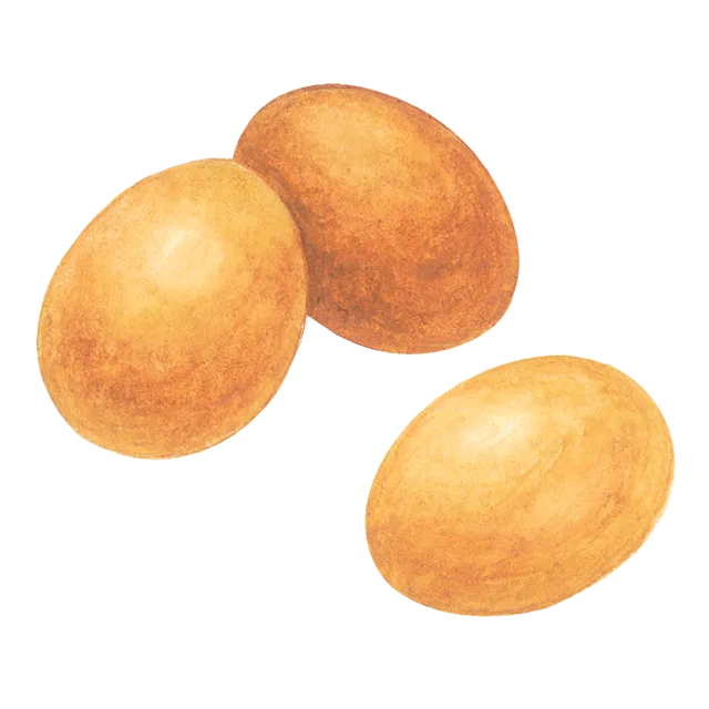 鶏卵（たまご）のイラスト