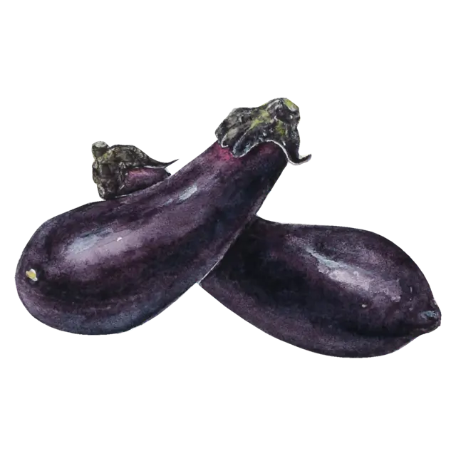 なすのイラスト