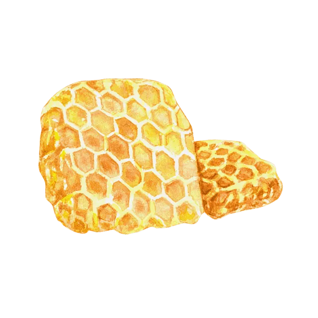 はちみつのイラスト