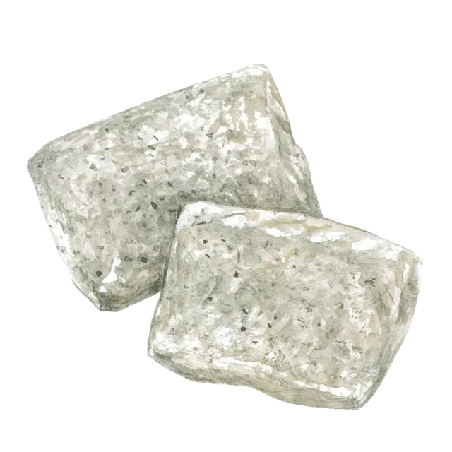 こんにゃくのイラスト