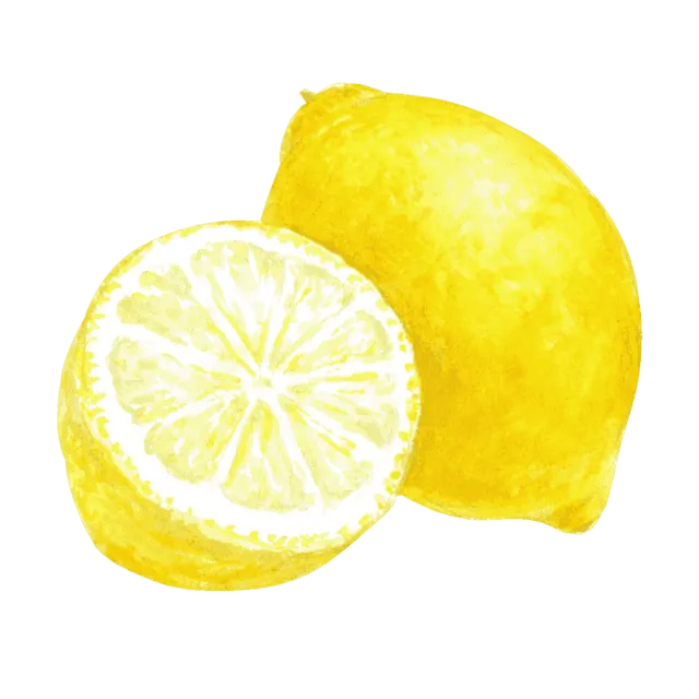 レモンのイラスト