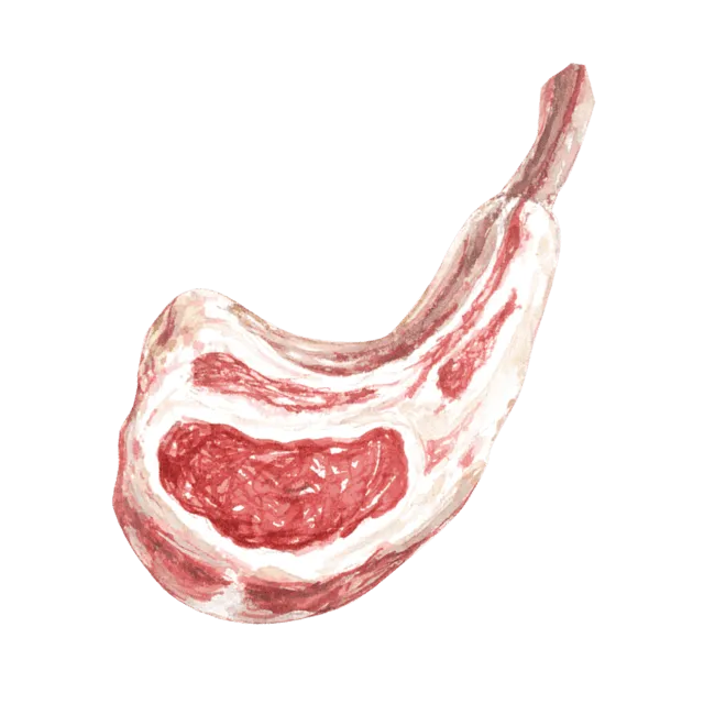 羊肉のイラスト