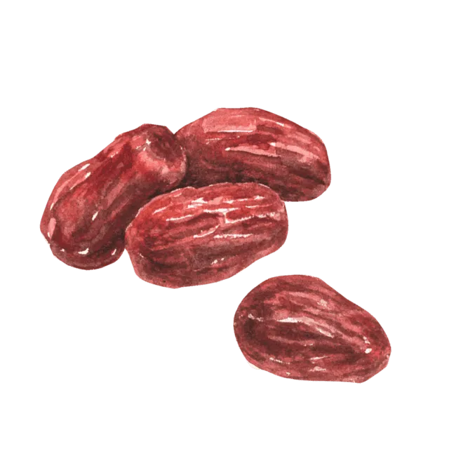 なつめのイラスト