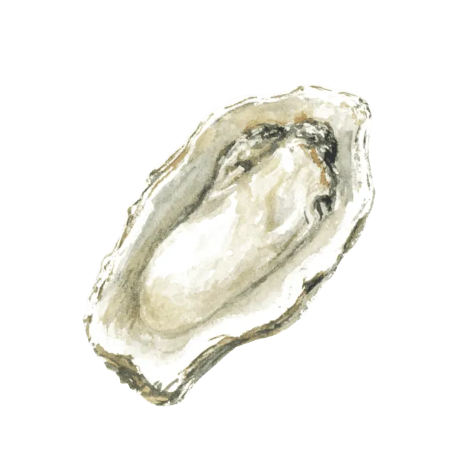 牡蠣のイラスト