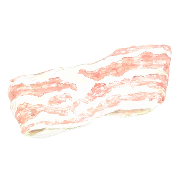 豚肉のイラスト