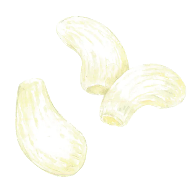 らっきょうのイラスト