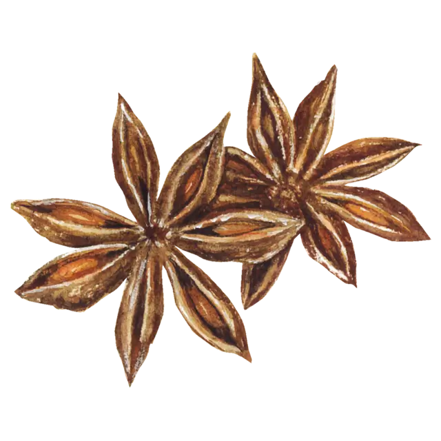 八角のイラスト