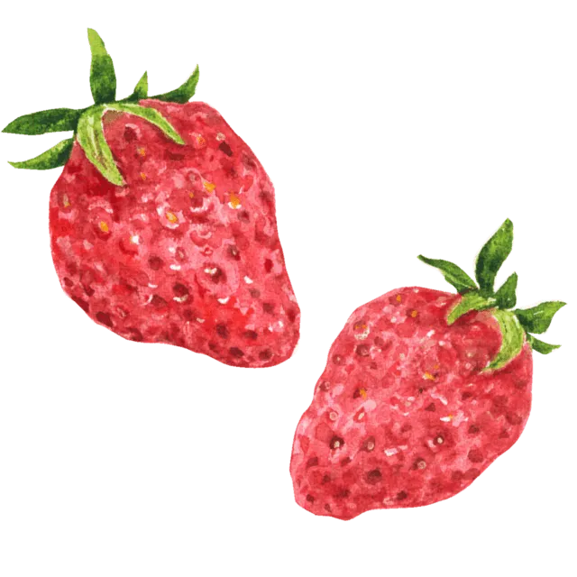 いちごのイラスト