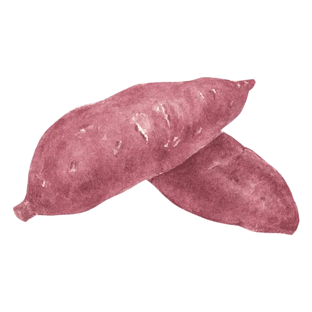 さつまいものイラスト