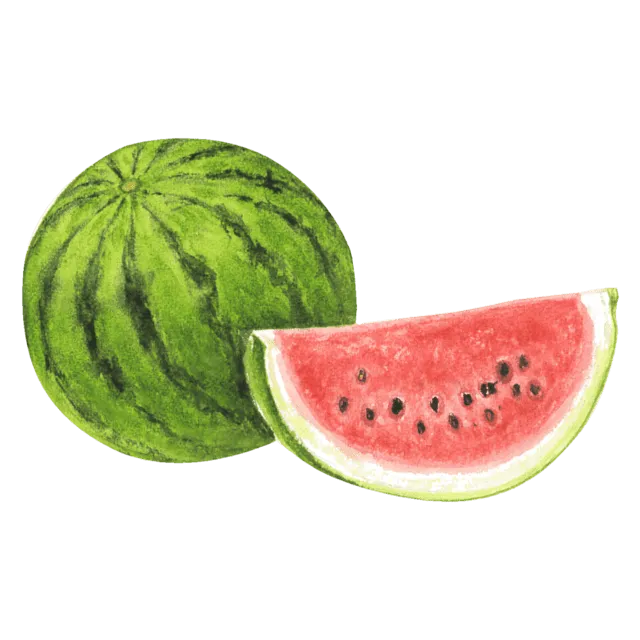 すいかのイラスト