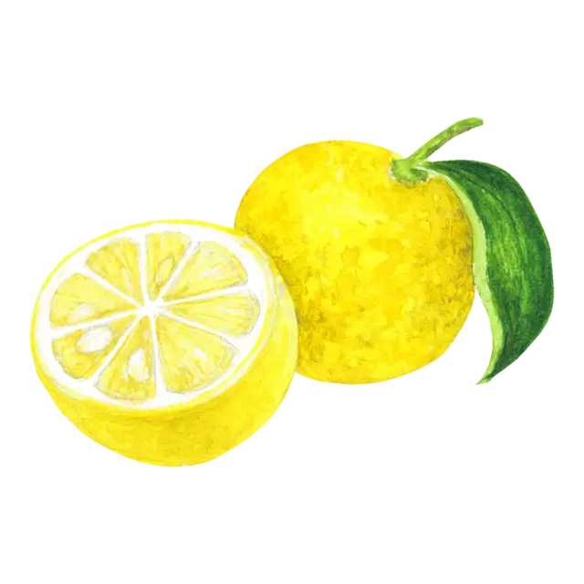 ゆずのイラスト