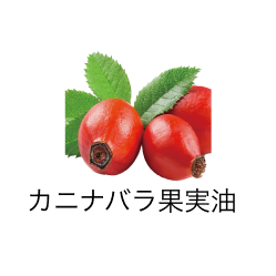 カニナバラ果実油