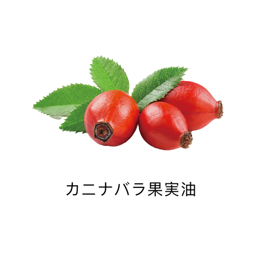 カニナバラ果実油