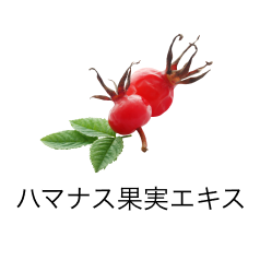 ハマナス果実エキス