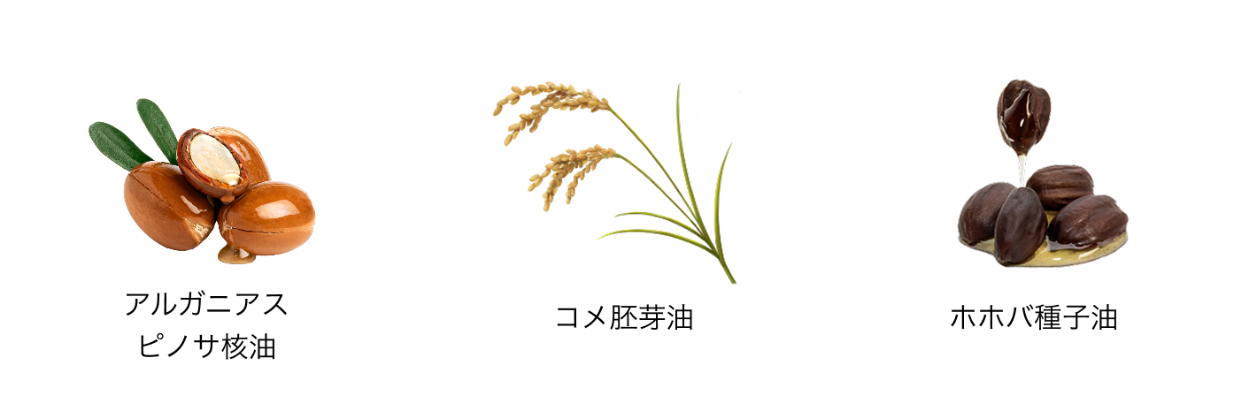 アルガニアスピノサ核油 コメ胚芽油 ホホバ種子油