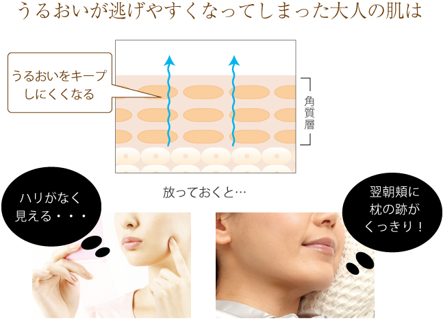 うるおいが逃げやすくなってしまった大人の肌はうるおいをキープしにくくなる