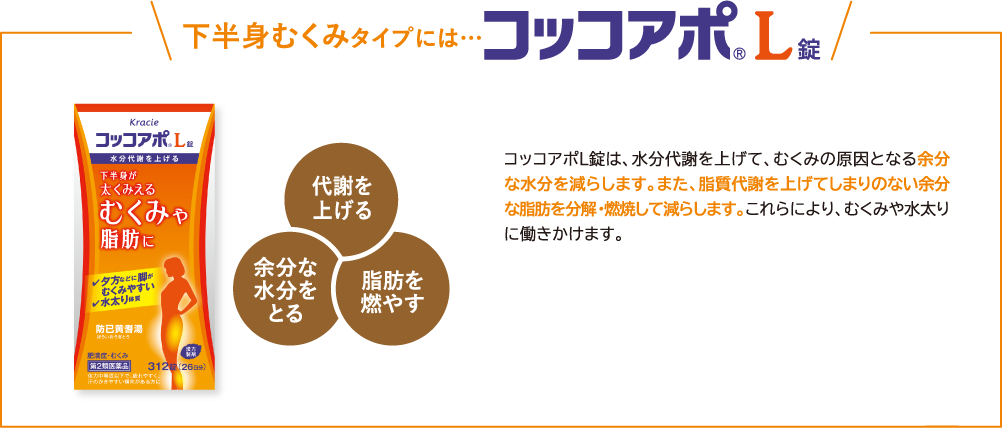 下半身むくみタイプには… コッコアポL錠 代謝を上げる 余分な水分をとる 脂肪を燃やす コッコアポL錠は、水分代謝を上げて、むくみの原因となる余分な水分を減らします。また、脂質代謝を上げてしまりのない余分な脂肪を分解・燃焼して減らします。これらにより、むくみや水太りに働きかけます。