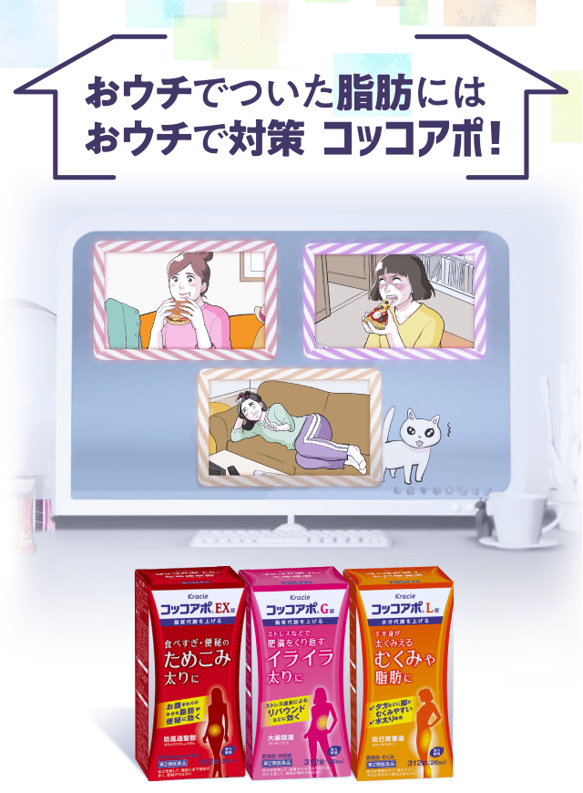 おウチでついた脂肪にはおウチで対策 コッコアポ！