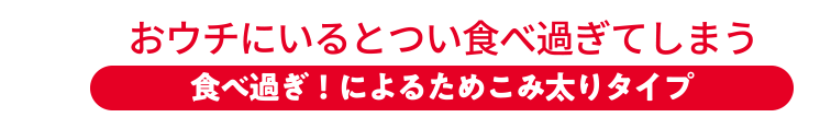 おウチにいるとつい食べ過ぎてしまう 食べ過ぎ！によるためこみ太りタイプ