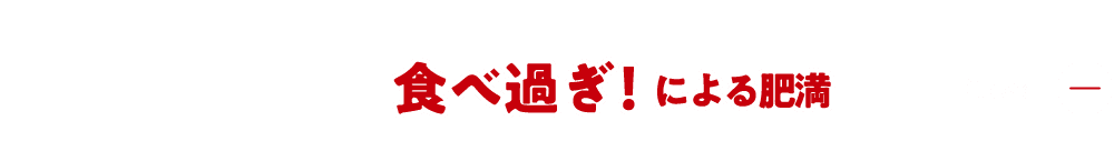 食べ過ぎに！による肥満