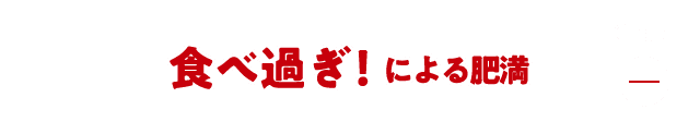 食べ過ぎに！による肥満