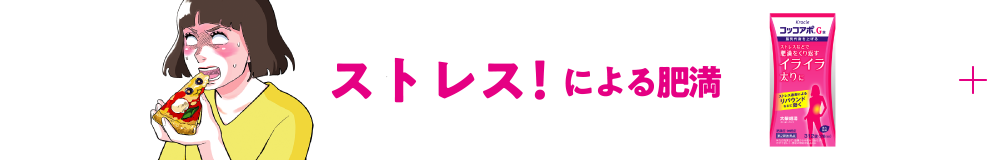 ストレス！による肥満