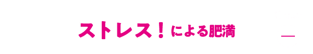 ストレス！による肥満