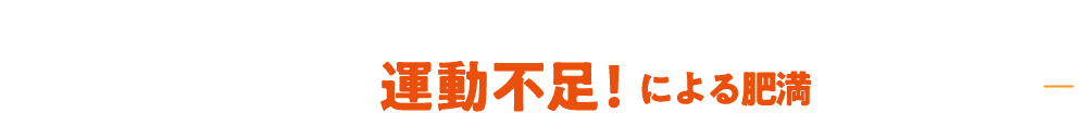 運動不足！による肥満