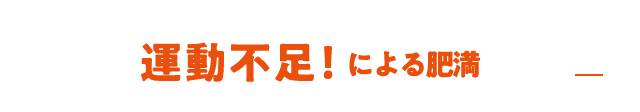 運動不足！による肥満