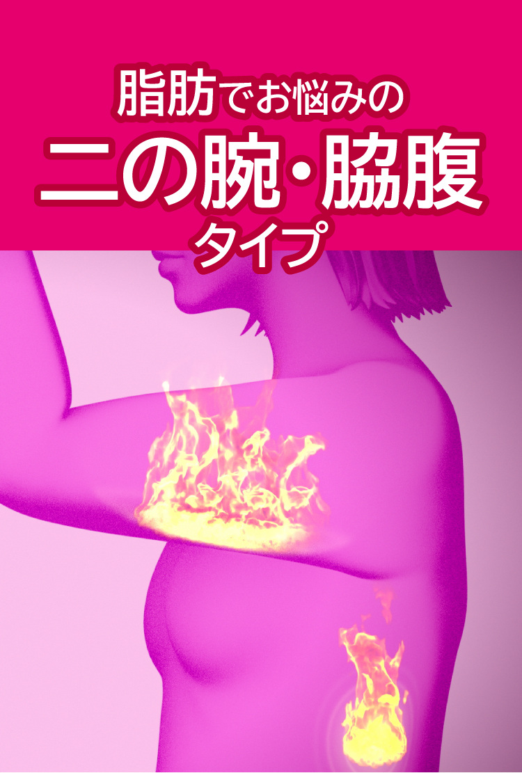 脂肪と便秘でお悩みの二の腕・脇腹タイプ