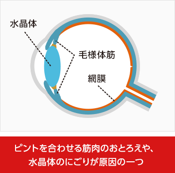ピントを合わせる筋肉のおとろえや、水晶体のにごりが原因の一つ