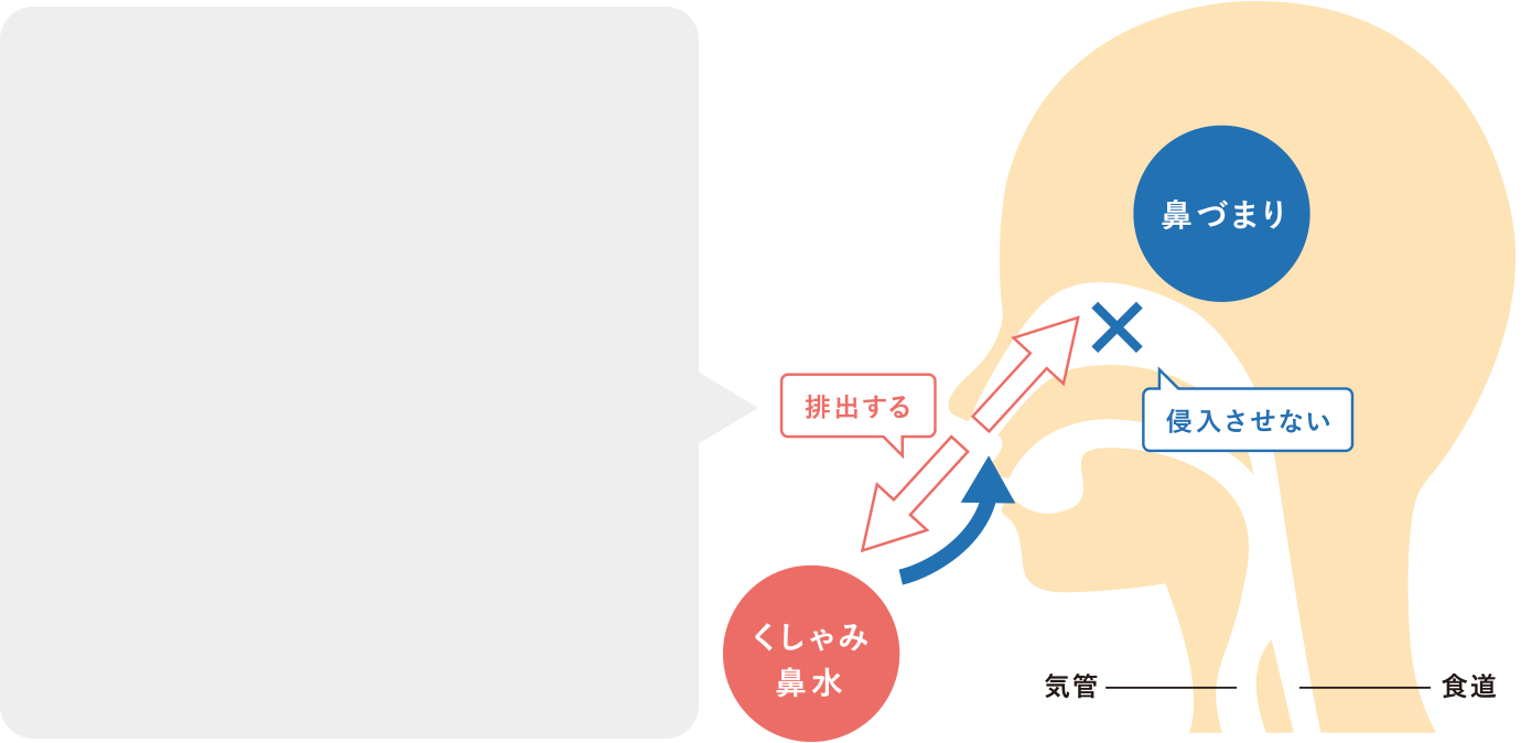 鼻水 鼻 詰まり