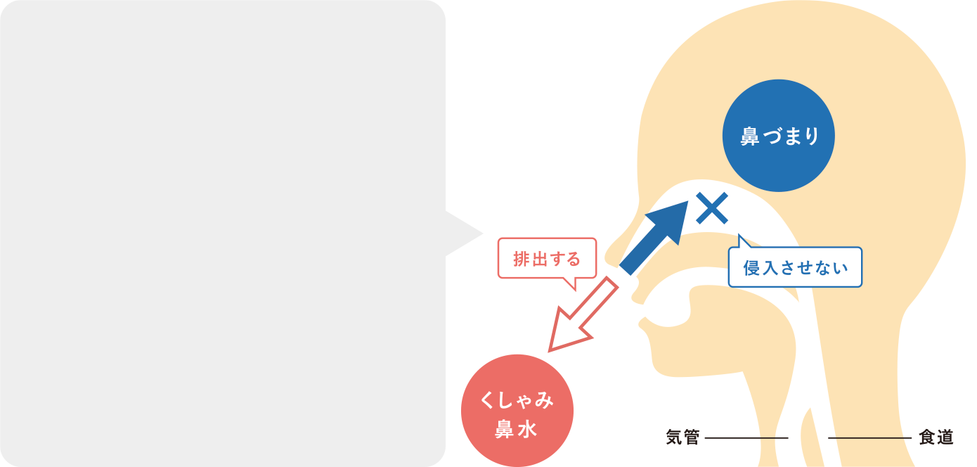 鼻水は鼻の「洗浄液」