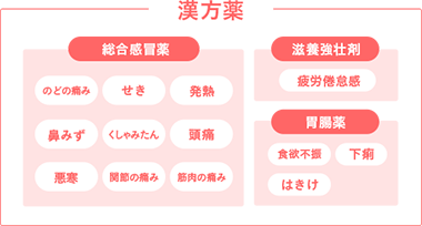 漢方薬 総合感冒薬 滋養強壮剤 胃腸薬