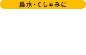 鼻水・くしゃみに小青竜湯EX しょうせいりゅうとう