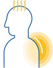 麻黄湯はどう効くの？