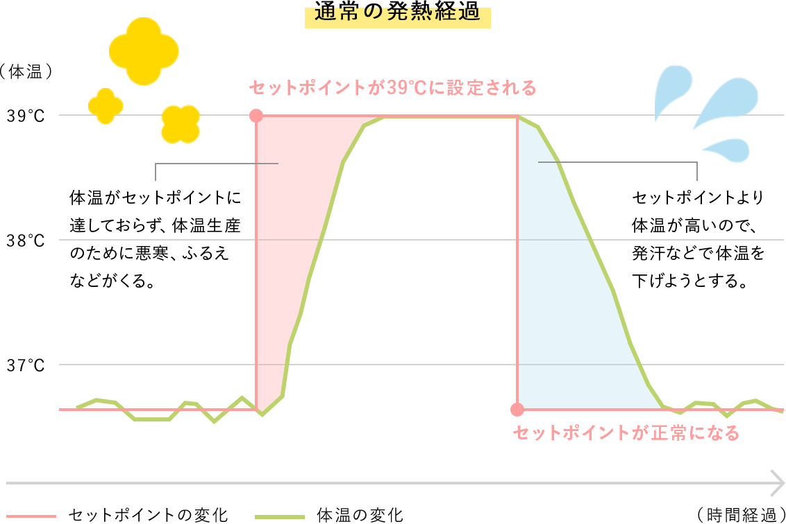 通常の発熱経過