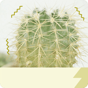 喉の違和感をなんとかしたい！痰(たん)って何者？