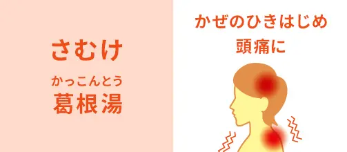 「葛根湯」
