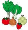 おすすめの野菜・果物イメージ