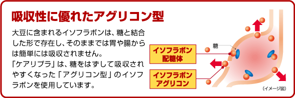 吸収性に優れたアグリコン型