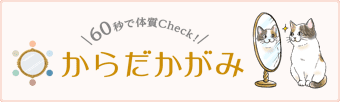 60秒で体質チェック！からだかがみ