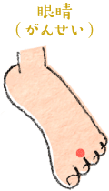 眼晴（がんせい） イメージ
