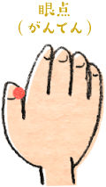眼点（がんてん） イメージ