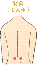 腎兪(じんゆ) イメージ